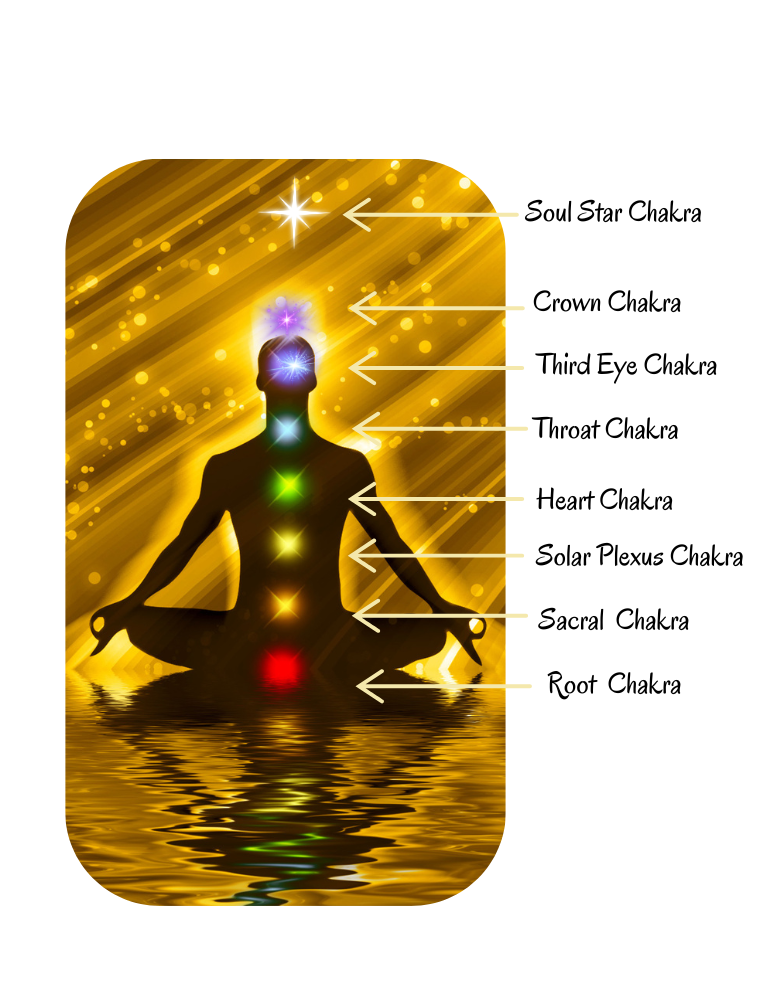 Quantum Wellness-Chakras Quantum Wellness-Chakras